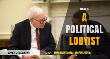 Understanding Political Lobbyists: Roles, Influence, and Impact on Policy