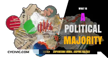 Understanding Political Majorities: Power, Representation, and Democratic Governance