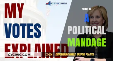Understanding Political Mandates: Power, Promises, and Public Trust Explained