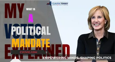 Understanding Political Mandates: Power, Legitimacy, and Democratic Governance Explained