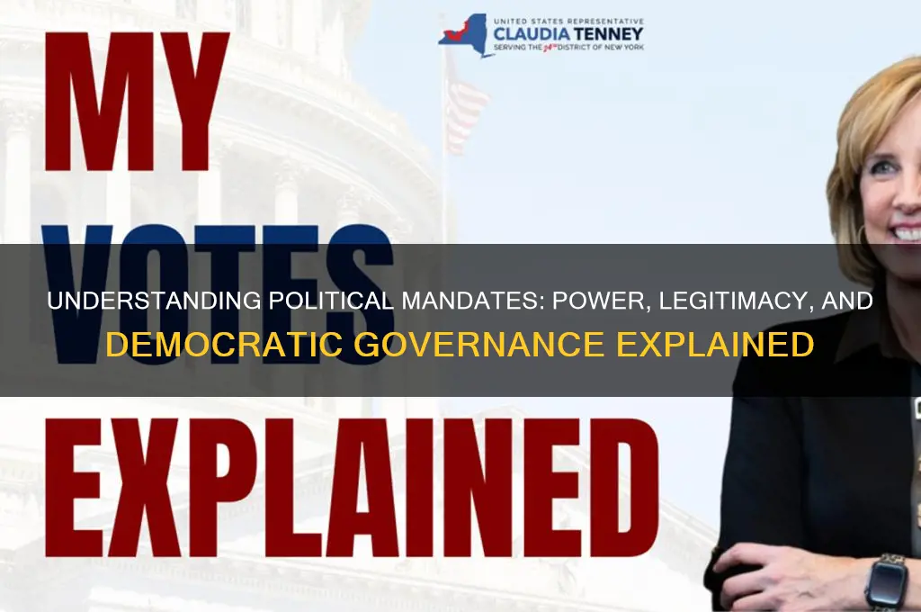 what is a political mandate