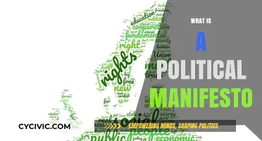Understanding Political Manifestos: Purpose, Structure, and Impact Explained