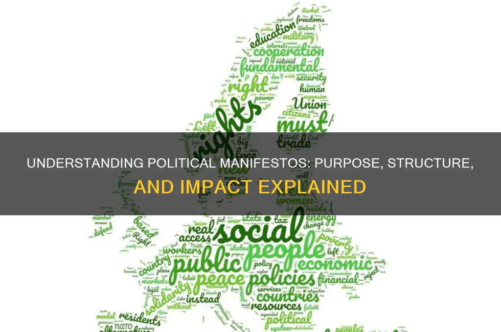 what is a political manifesto