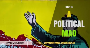 Understanding the Political Mao: Ideology, Influence, and Historical Impact