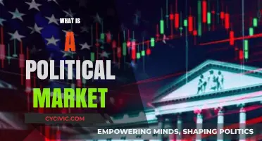 Understanding the Political Market: Dynamics, Influence, and Economic Parallels