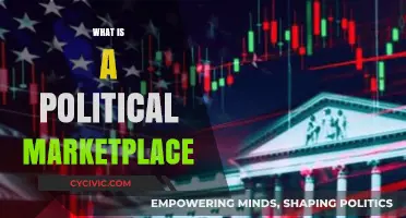 Understanding the Political Marketplace: Dynamics, Players, and Influence