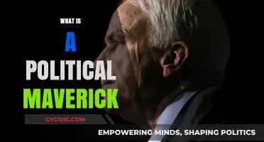 Understanding the Political Maverick: Independent Voices Shaping Policy and Power