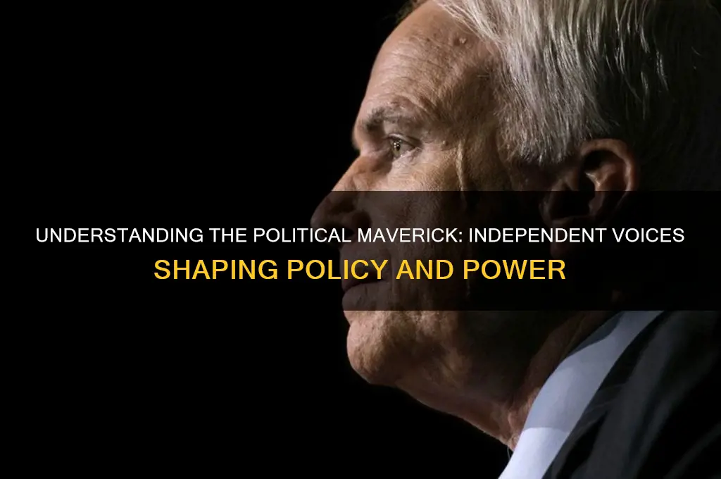 what is a political maverick
