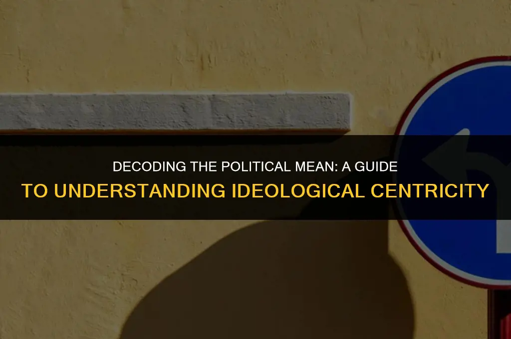 what is a political mean