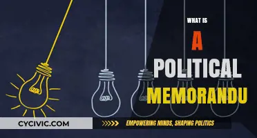 Understanding Political Memoranda: Purpose, Structure, and Impact Explained