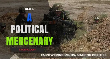 Understanding Political Mercenaries: Roles, Motivations, and Global Influence