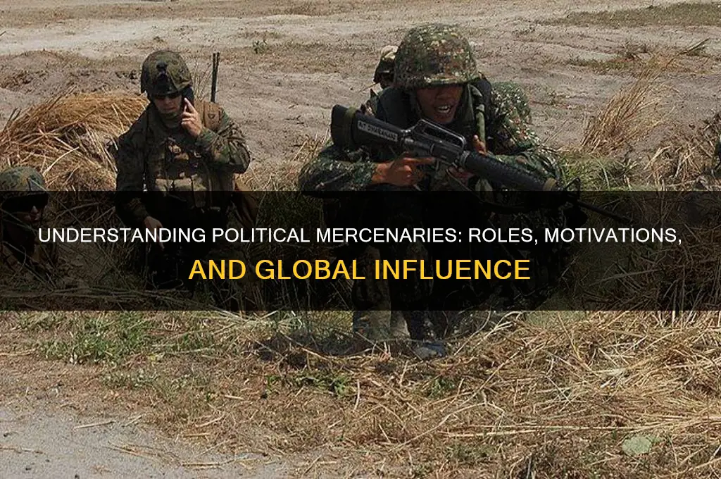 what is a political mercenary