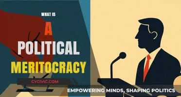 Understanding Political Meritocracy: Governance by Talent, Not Privilege