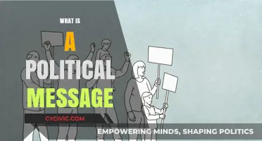 Understanding Political Messages: Purpose, Impact, and Communication Strategies