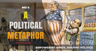 Understanding Political Metaphors: Language, Power, and Hidden Meanings Explained