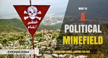 Navigating the Complex World of Political Minefields: Risks and Strategies