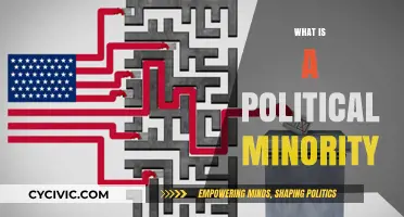 Understanding Political Minorities: Representation, Challenges, and Rights Explained