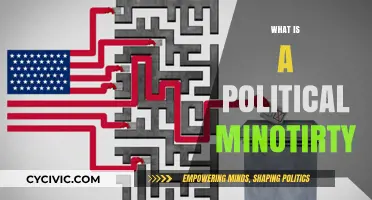 Understanding Political Minorities: Representation, Challenges, and Democratic Inclusion