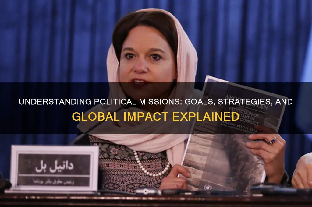 what is a political mission