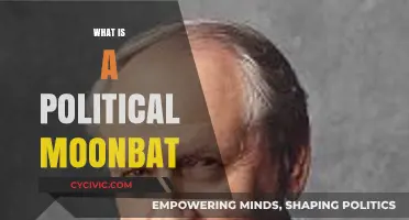 Understanding the Term: What Does Political Moonbat Really Mean?