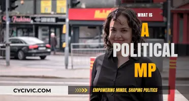 Understanding the Role and Responsibilities of a Political MP