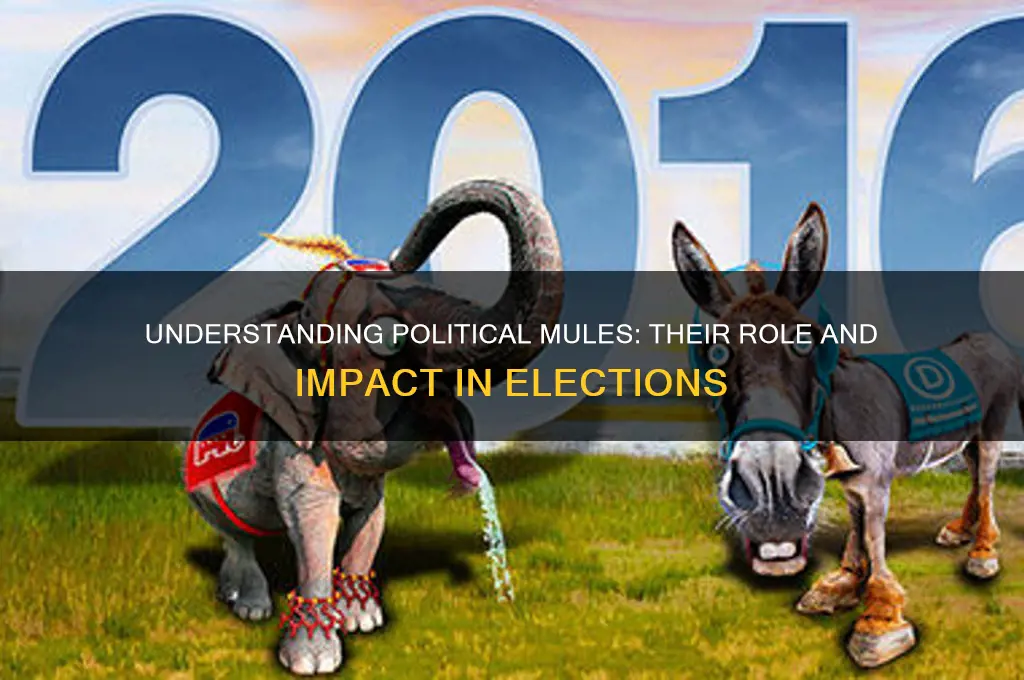 what is a political mule