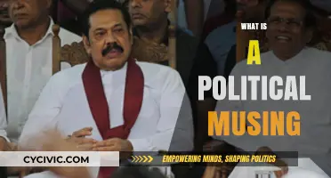 Exploring Political Musings: Reflections on Power, Society, and Governance