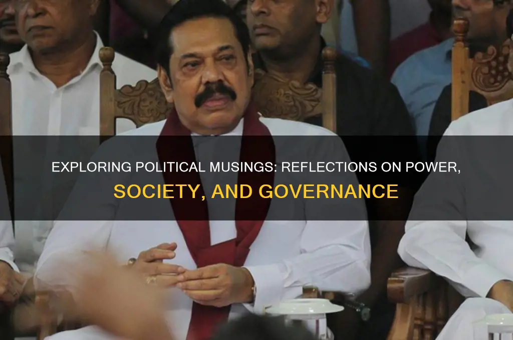 what is a political musing