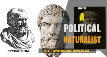 Understanding Political Naturalism: A Philosophical Approach to Politics