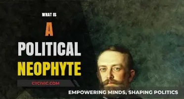 Understanding Political Neophytes: Newcomers Shaping the Political Landscape