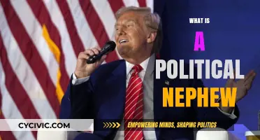 Understanding the Role and Influence of a Political Nephew