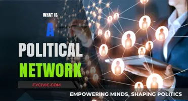 Understanding Political Networks: Connections, Influence, and Power Dynamics Explained