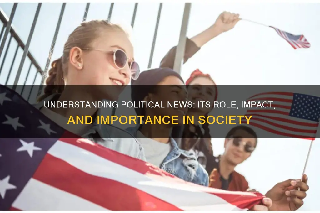 what is a political news