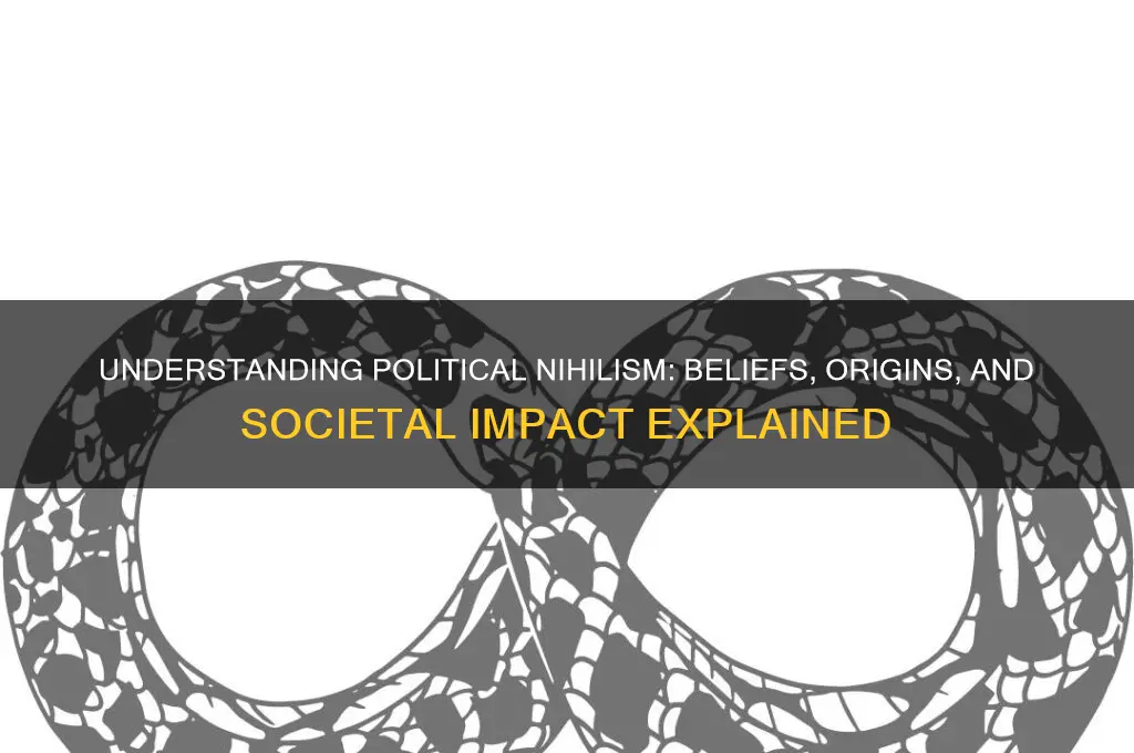what is a political nihilist