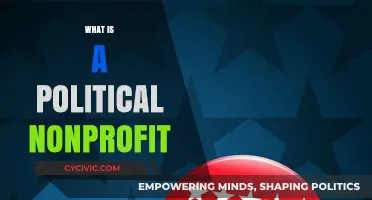Understanding Political Nonprofits: Purpose, Impact, and Legal Framework Explained