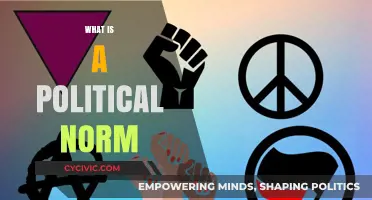 Understanding Political Norms: Unwritten Rules Shaping Governance and Society