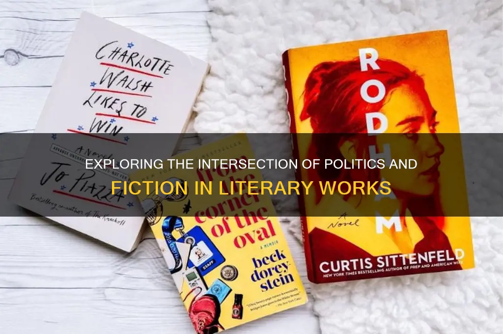 what is a political novel