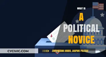 Understanding Political Novices: Who They Are and Their Role in Politics