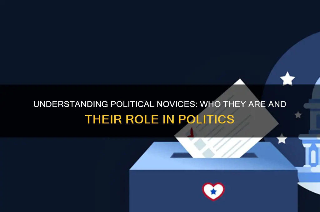 what is a political novice
