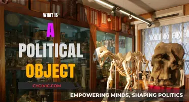 Understanding Political Objects: Definitions, Roles, and Real-World Implications