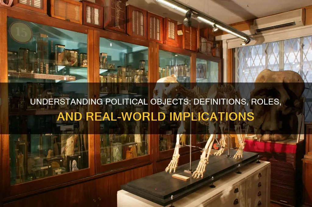 what is a political object