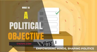 Understanding Political Objectives: Goals, Strategies, and Societal Impact Explained