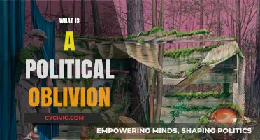 Understanding Political Oblivion: Causes, Consequences, and Real-World Examples