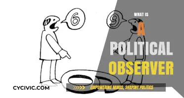 Understanding the Role and Impact of a Political Observer
