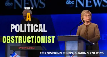 Understanding Political Obstructionists: Tactics, Impact, and Real-World Examples