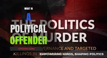 Understanding Political Offenders: Definition, Legal Implications, and Global Perspectives