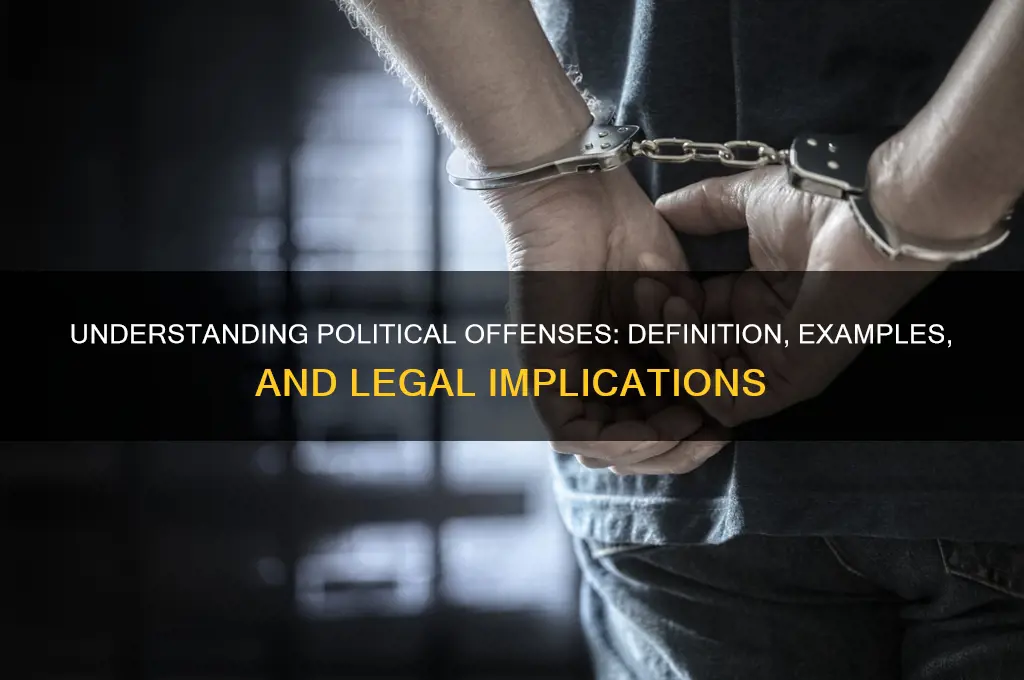 what is a political offense