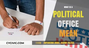 Understanding Political Offices: A Beginner's Guide to Governance Roles