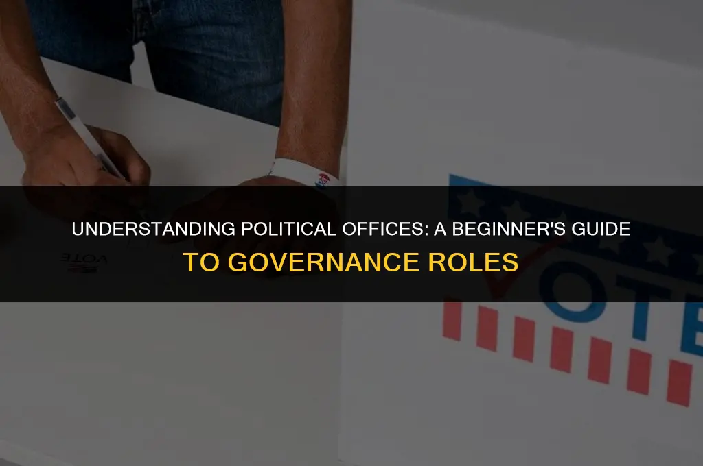 what is a political office mean