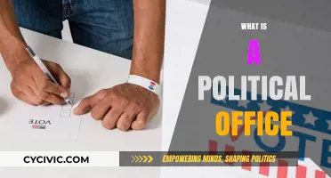 Understanding Political Office: Roles, Responsibilities, and Public Service Explained